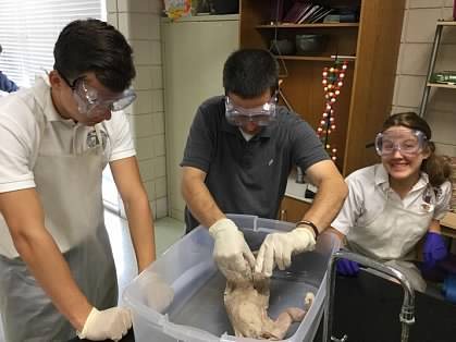Paul in goggles leading a dissection, with students in aprons on either side.